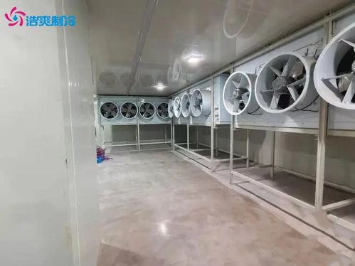 肉類速凍冷庫 食品速凍冷庫的建造設(shè)計(jì)